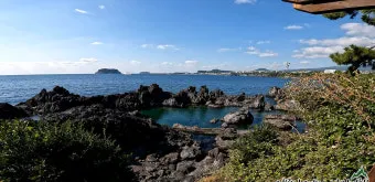 제주 서귀포 카페 추천 디저트 맛집과 뷰 맛집 정리_7