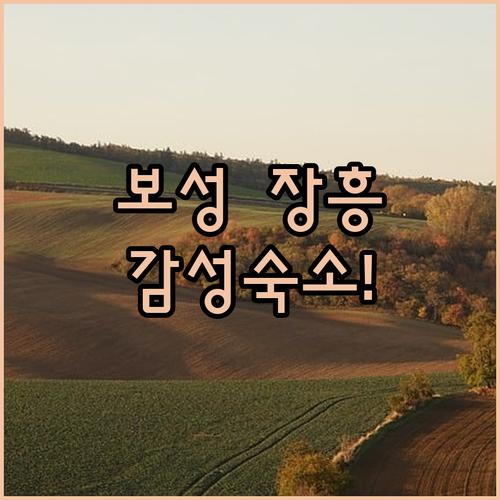 전남 보성 장흥 가족 여행 숙소 추천..