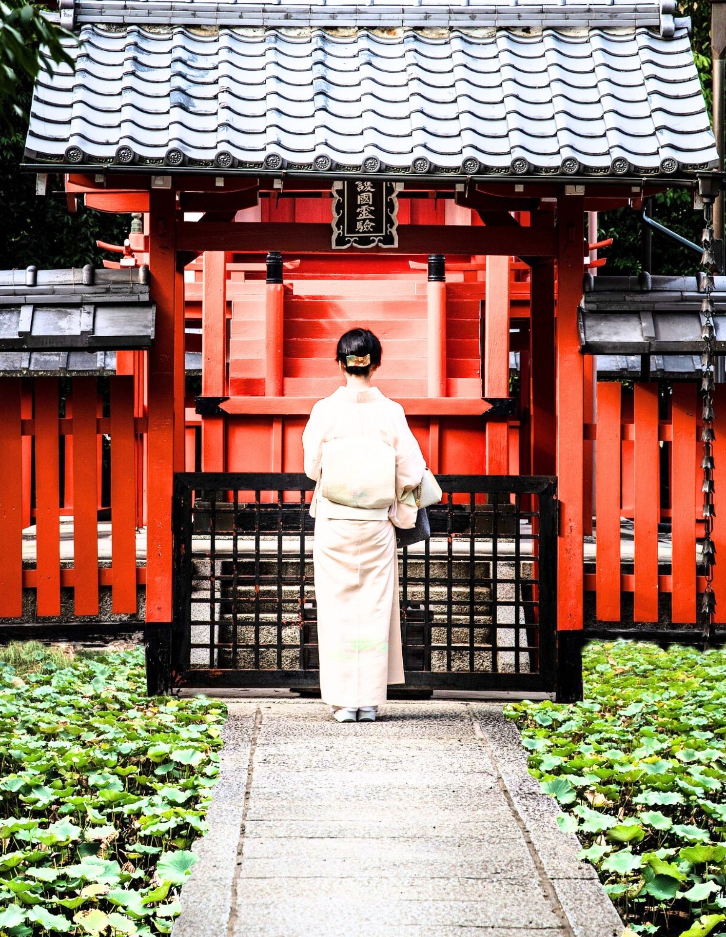 기모노를 입은 여인