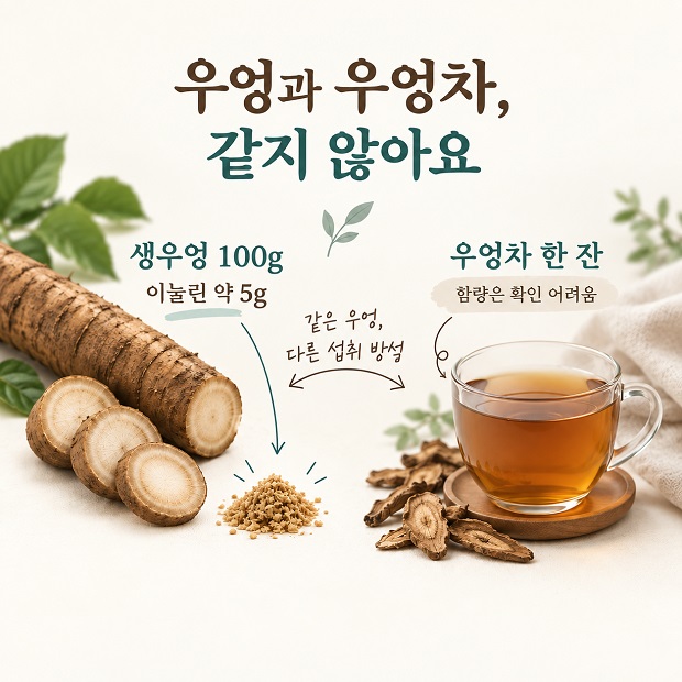 생우엉 100g의 이눌린 약 5g과 우엉차 한 잔의 확인되지 않은 함량을 비교한 인포그래픽