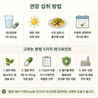 pqq영양제-효과-종류-추천-제품-뜻-부작용