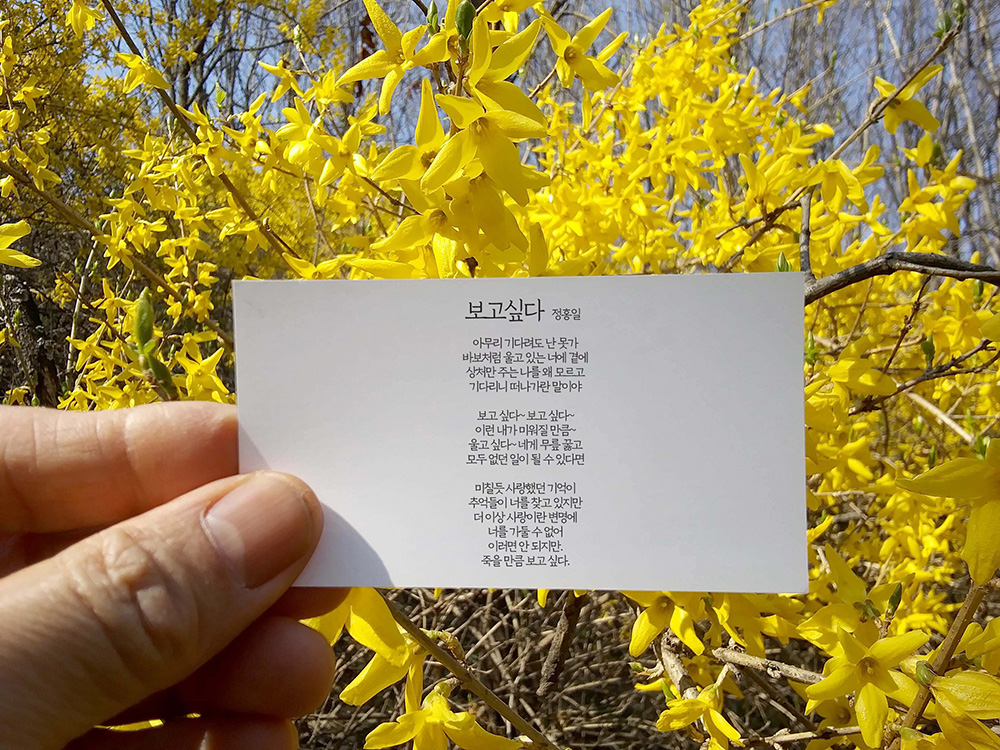 정홍일의 보고싶다