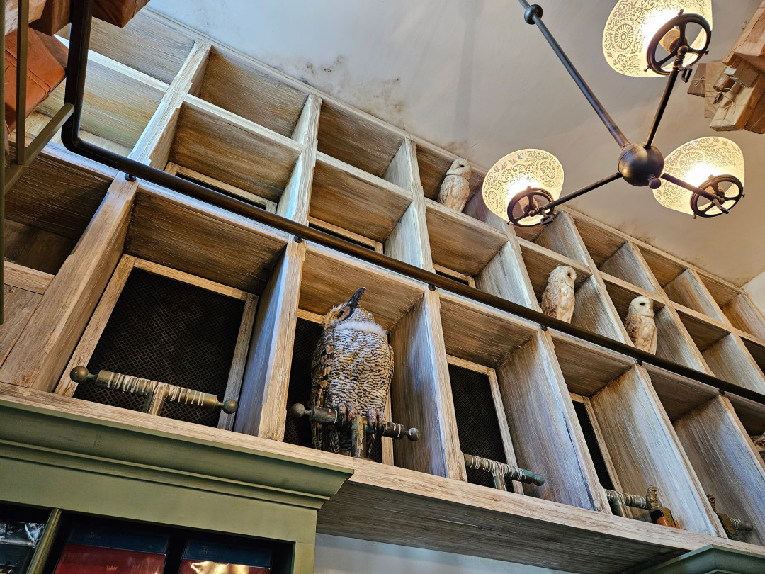 USJ 해리포터 부엉이 택배