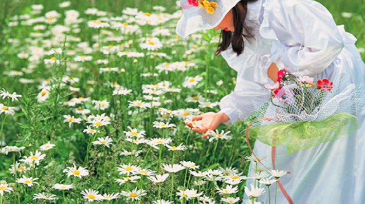 청옥산 육백마지기