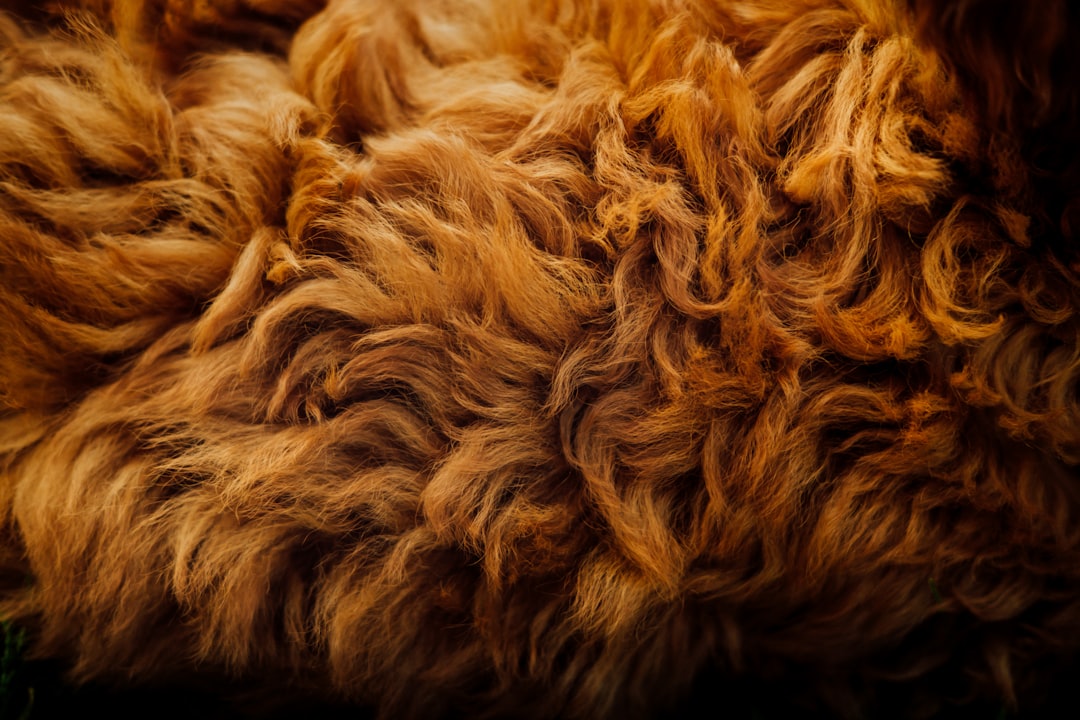 Fur.
