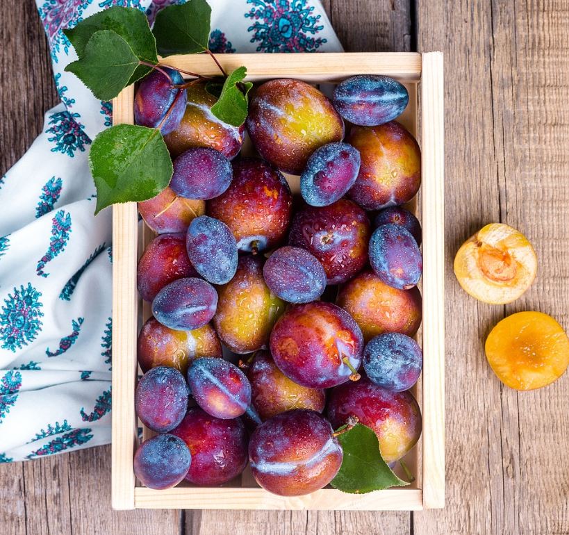 당뇨에 좋은 음식 과일 혈당지수(GI) 꼭 확인하세요