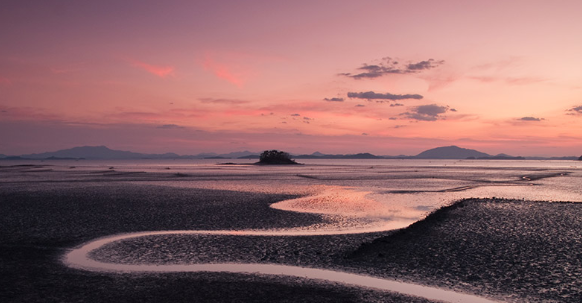 순천만습지 갈대밭