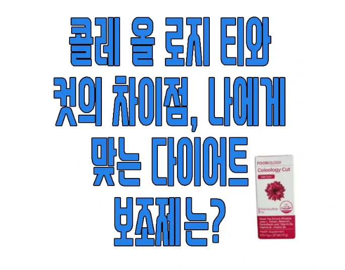 콜레올로지에 관한 글 보러 가기 링크 사진