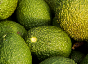 지방간에 좋은 음식 10, 지방간에 좋은 차 – 지방간 원인 증상