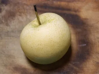 배 재배 유인 전정 수분 수정 봉지 재배_6