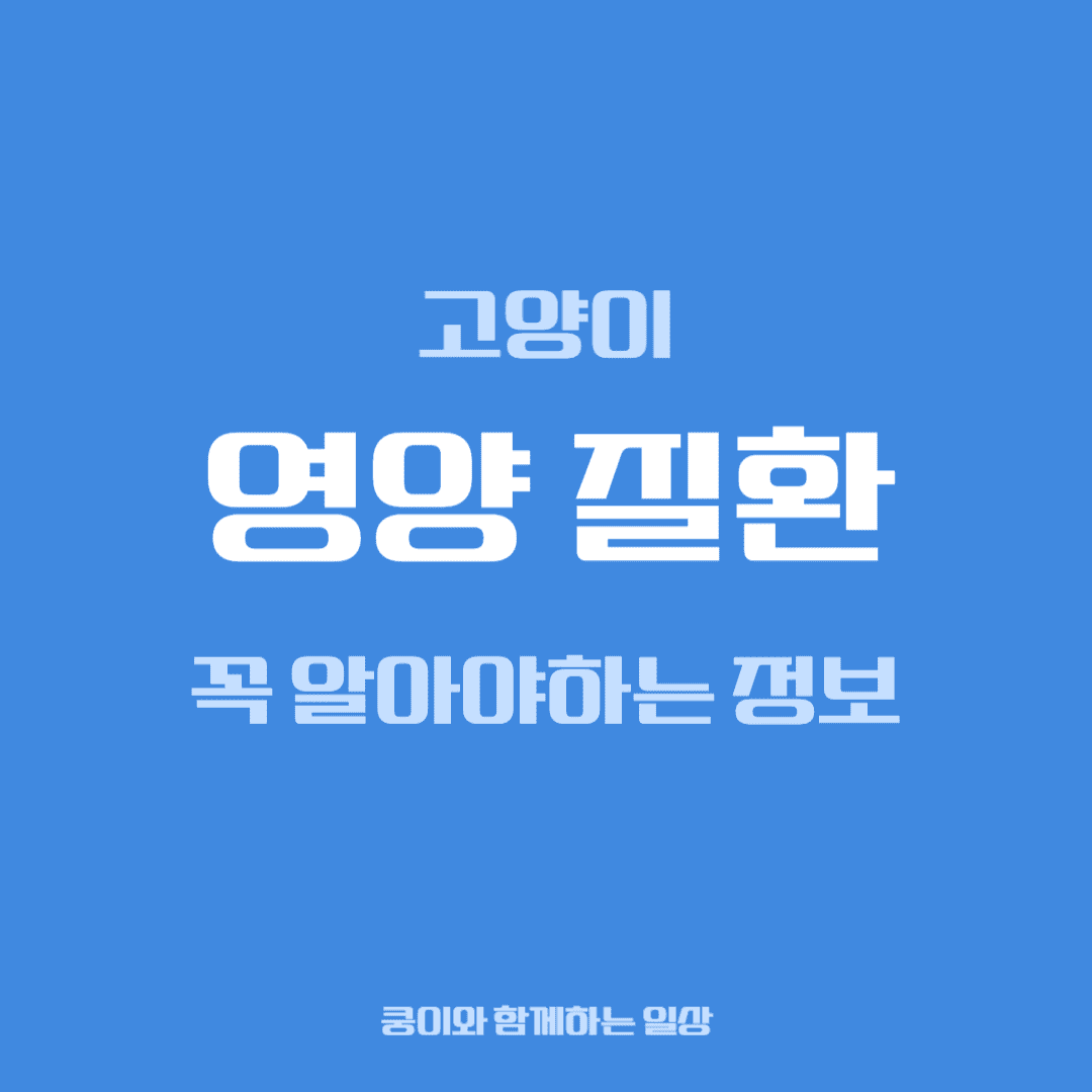 고양이 영양 질환, 집사가 꼭 알아야 할 정보