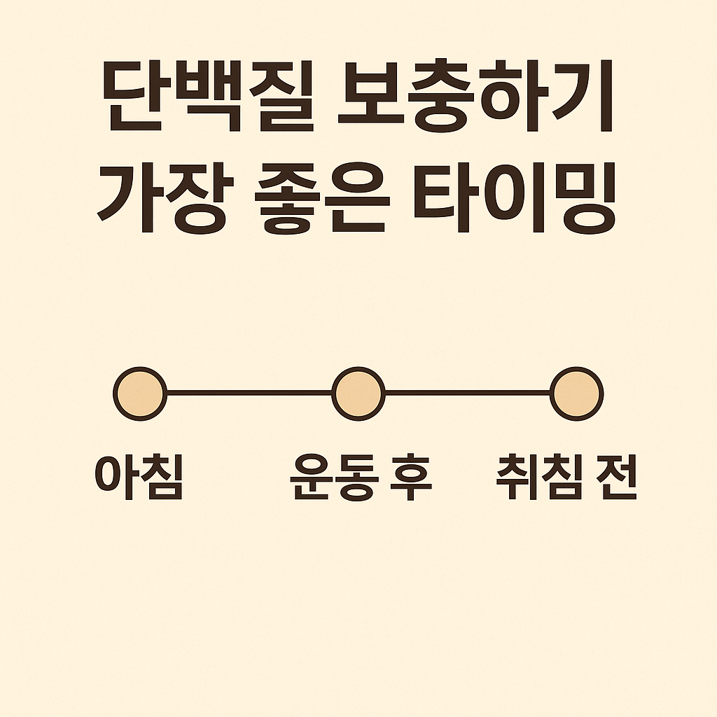 단백질 보충 타이밍 - 사진
