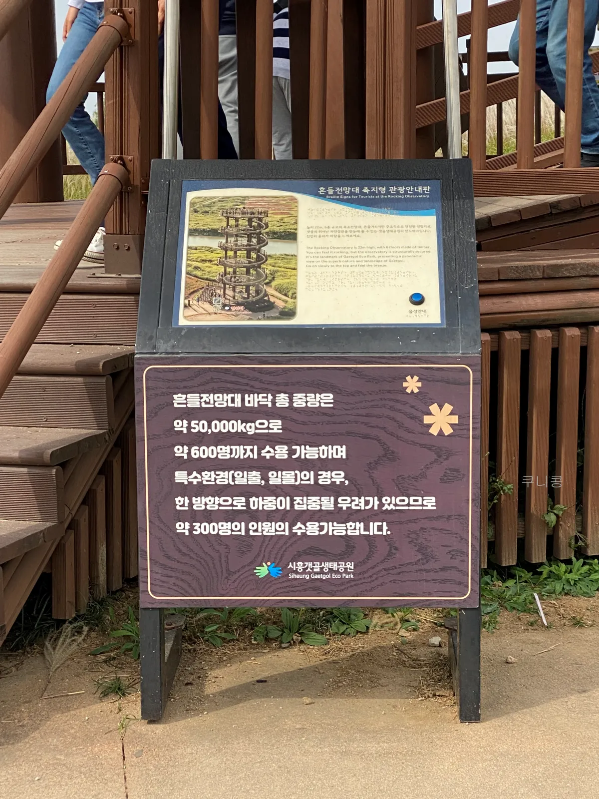 서울-근교-나들이-가볼만한곳-추천-억새-코스모스-시흥갯골생태공원-무료-주차-꿀팁