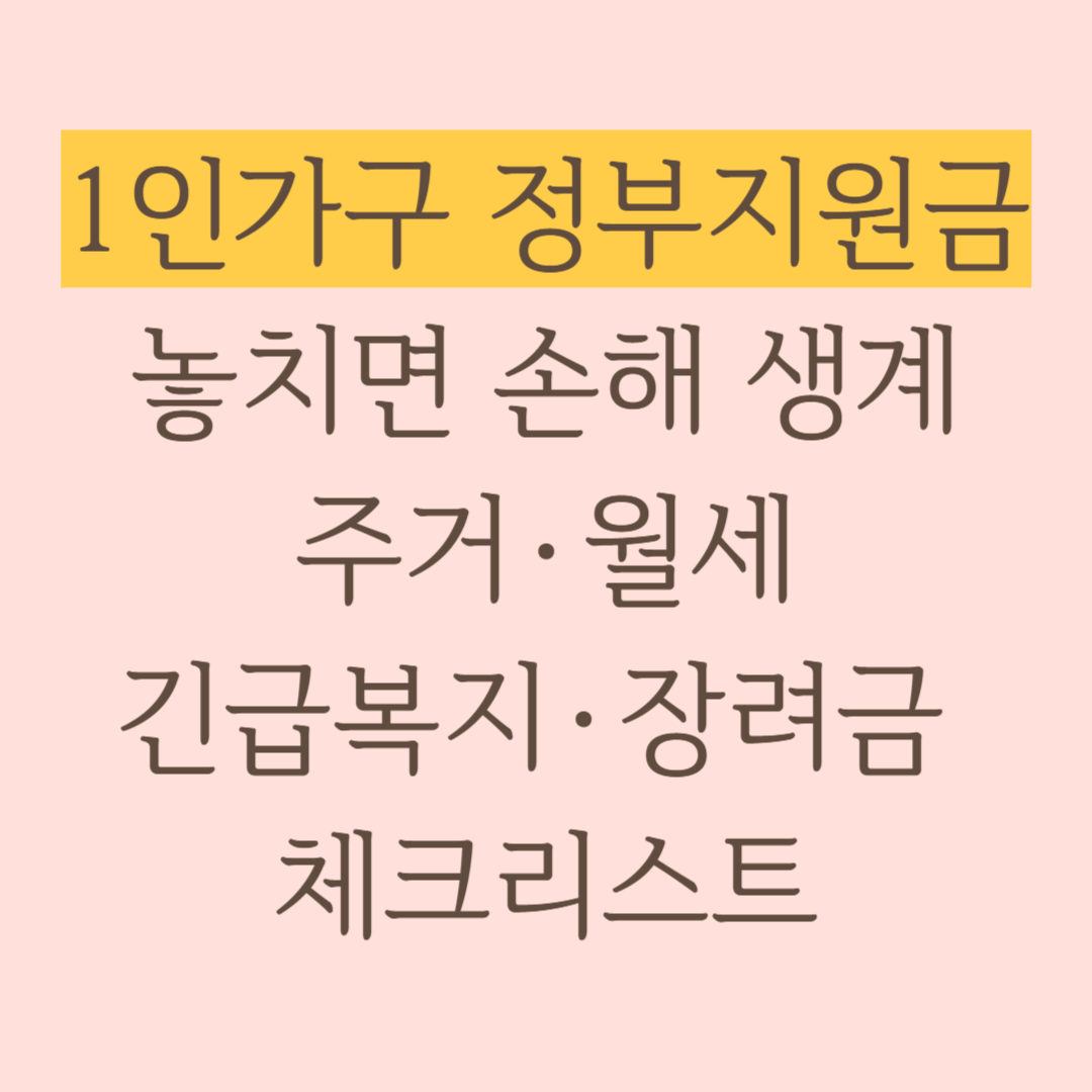 1인가구 정부지원금