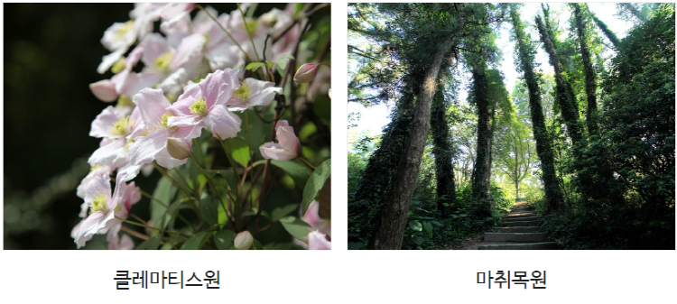 태안 천리포수목원