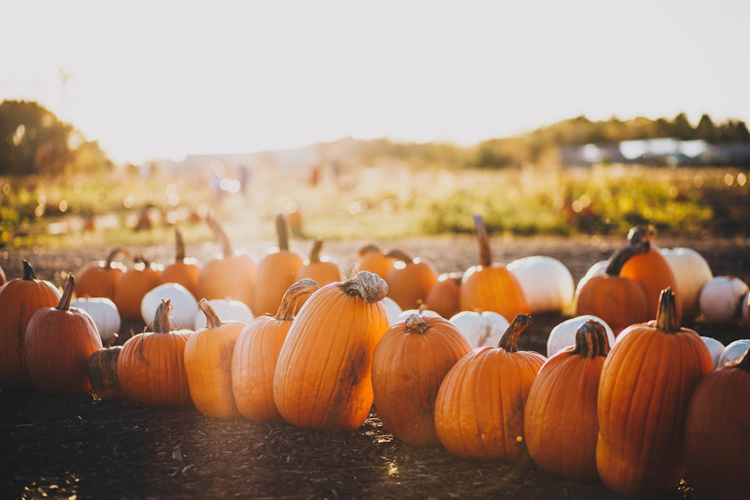 Pumpkin