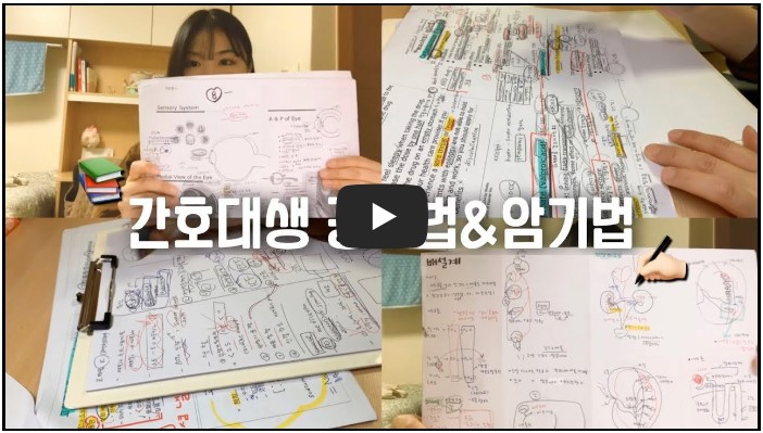 간호사 유튜버 순위 TOP 10 6