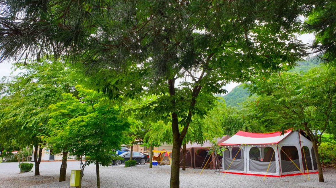 영월군 내리금봉 캠핑장 예약 바로가기