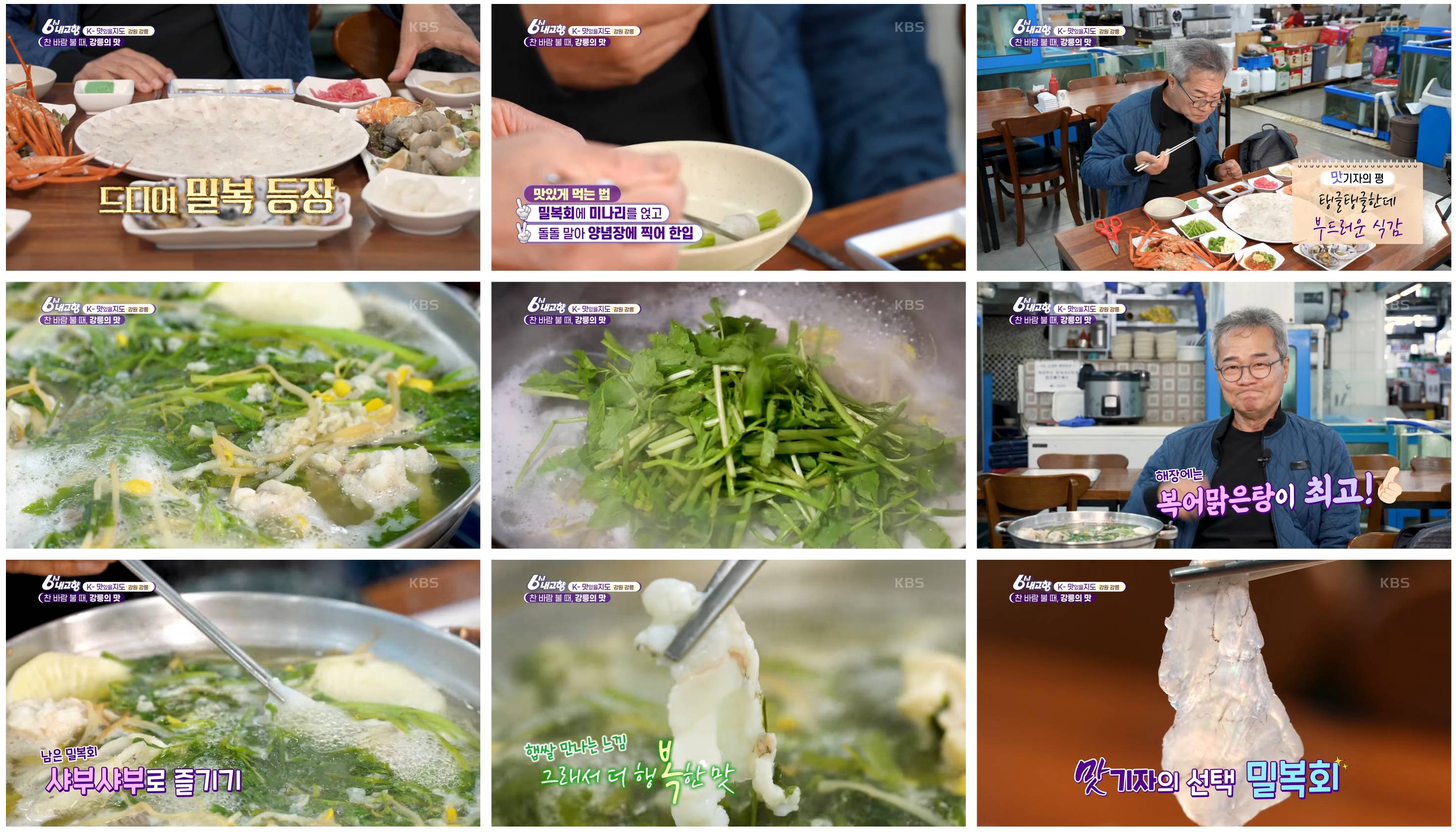 K-맛있을지도 강릉특집