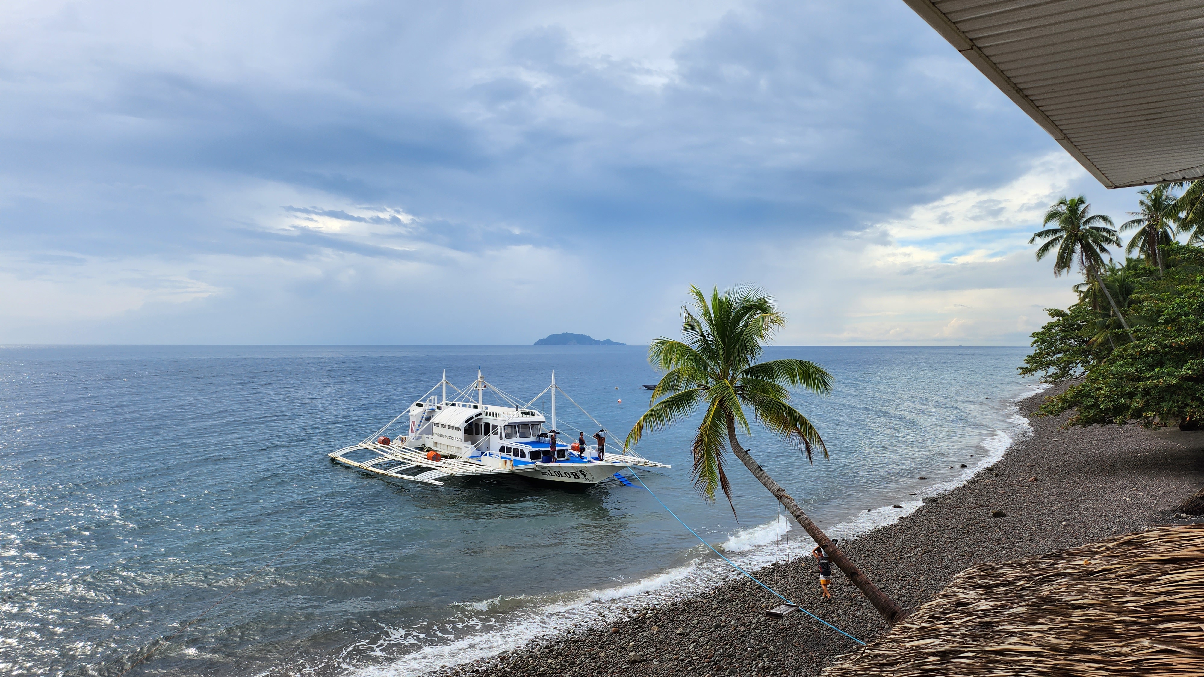 다이빙 후 비행 관련 이미지