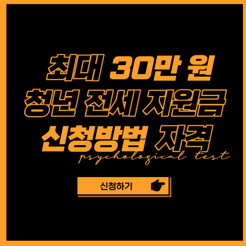 청년 전세보증금반환보증료 30만 원 지원