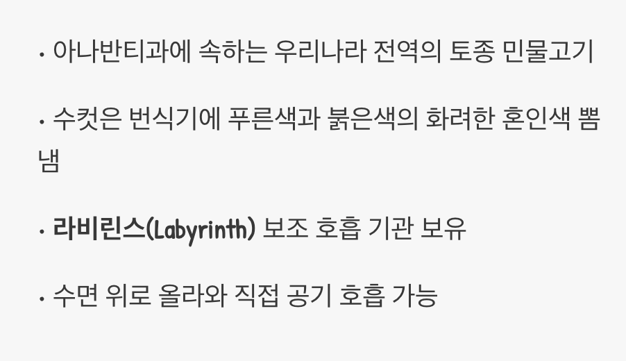 우리 강산의 작은 보석&amp;#44; 버들붕어