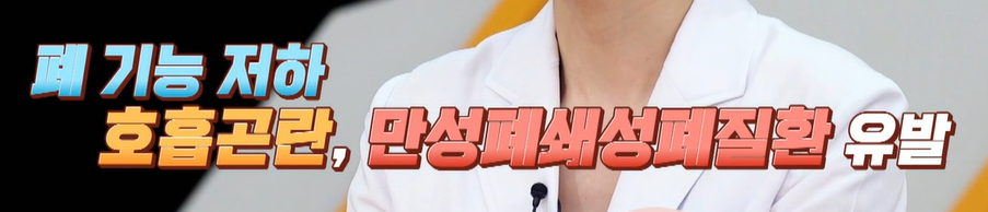 맥문동 효능