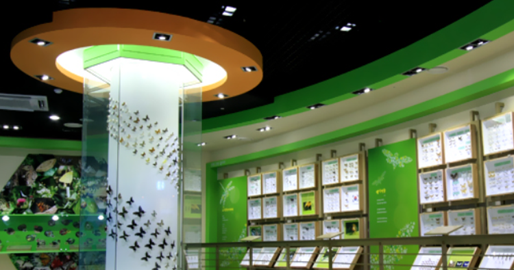 양평 곤충박물관