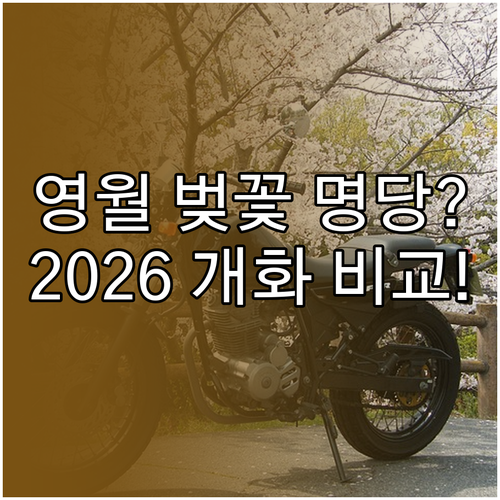 2026 영월 벚꽃 축제 일정과 지역..