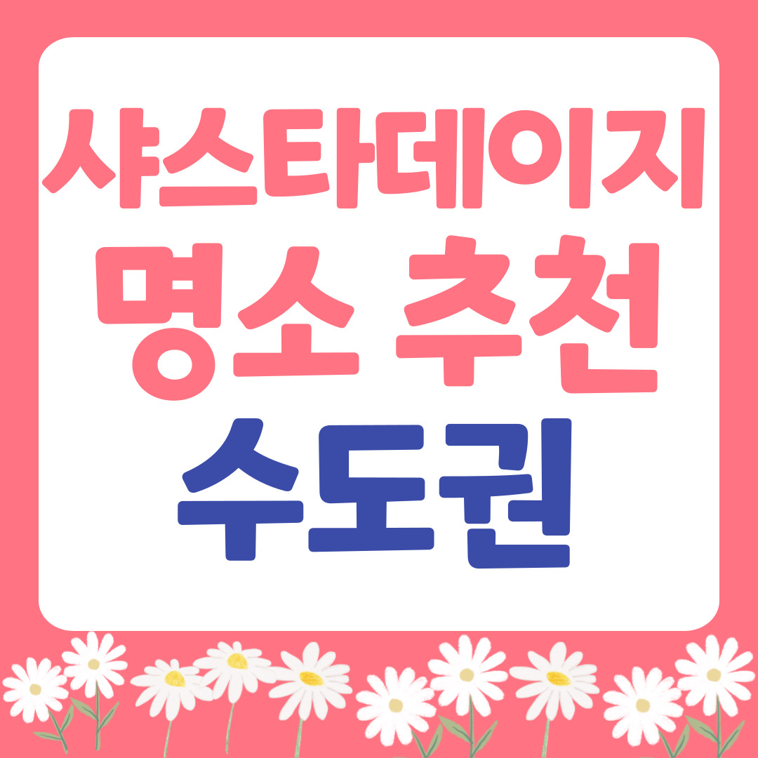 수도권 샤스타데이지 명소추천