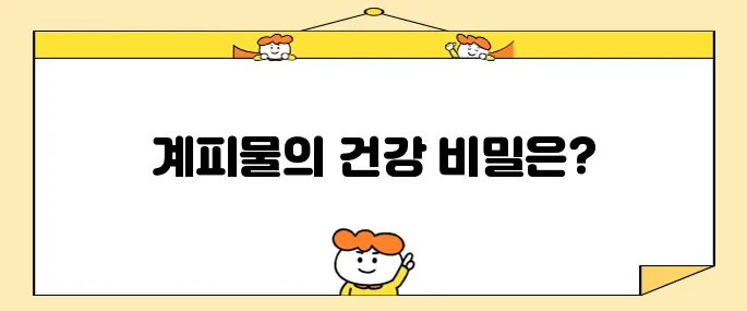 계피물의 효능 10가지와 그 부작용을 알아보자