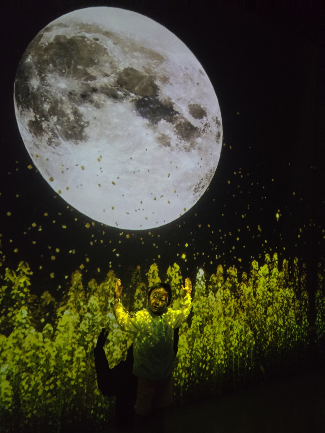 제주 아르떼뮤지엄 