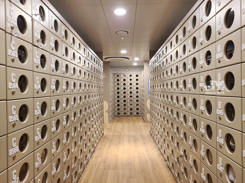 캐리비안 베이 개장 입장권(최저가 할인꿀팁), 준비물, 가는방법, 이용방법 상세히 알려드림