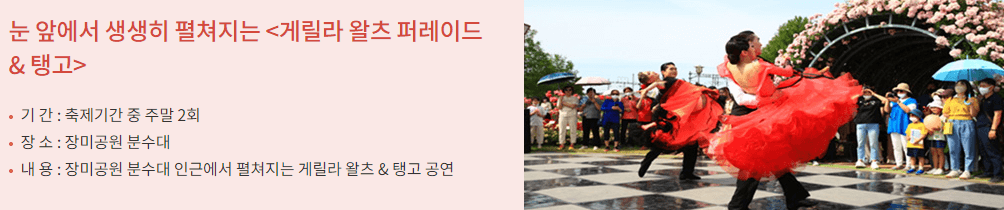 곡성 장미축제