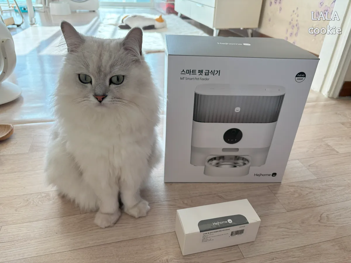 고양이-자동급식기-추천-박스-포장