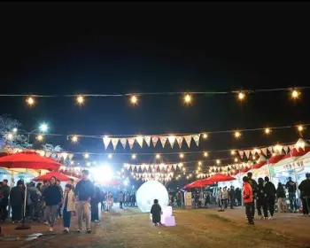 정읍 벚꽃축제_17