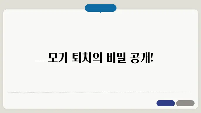 여름철 모기와의 전쟁, 나만의 전술