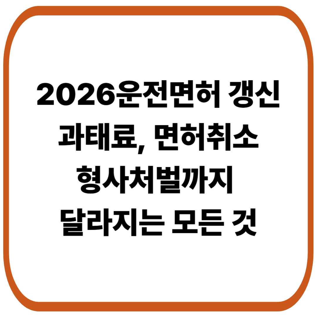 2026 운전면허 제도 개편! 운전면허 갱신등 달라지는 모든 것