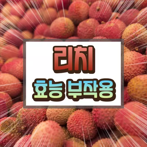 리치 효능 부작용