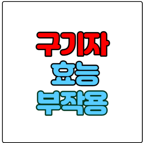 구기자-효능-및-부작용,-요리법