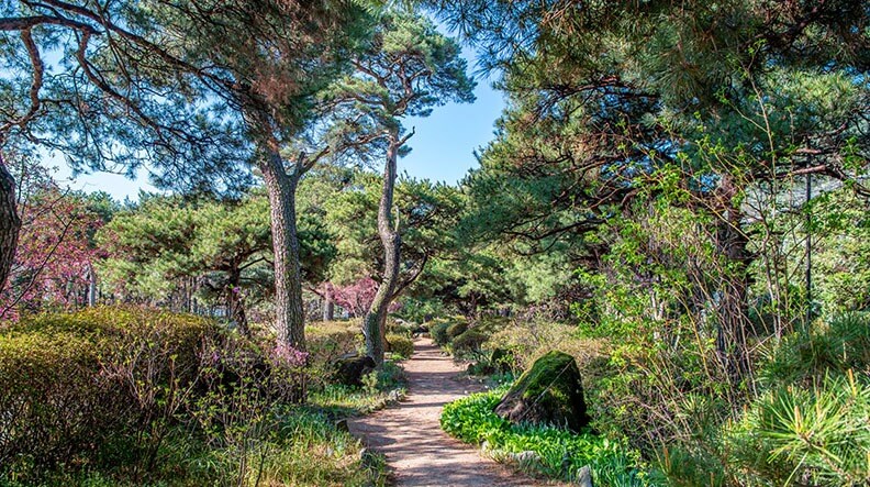 파주 벽초지 수목원 수국