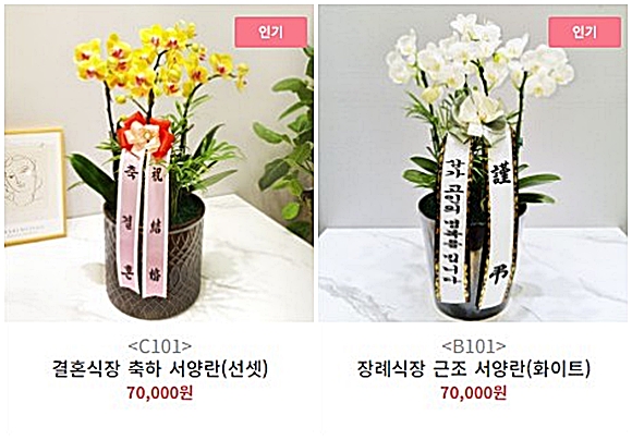 창원장례식장 근조화환