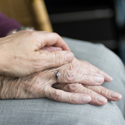 AMPK 효소 활성화