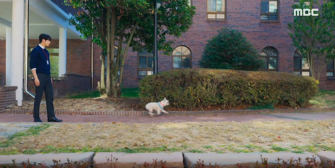 오늘도사랑스럽개_3회