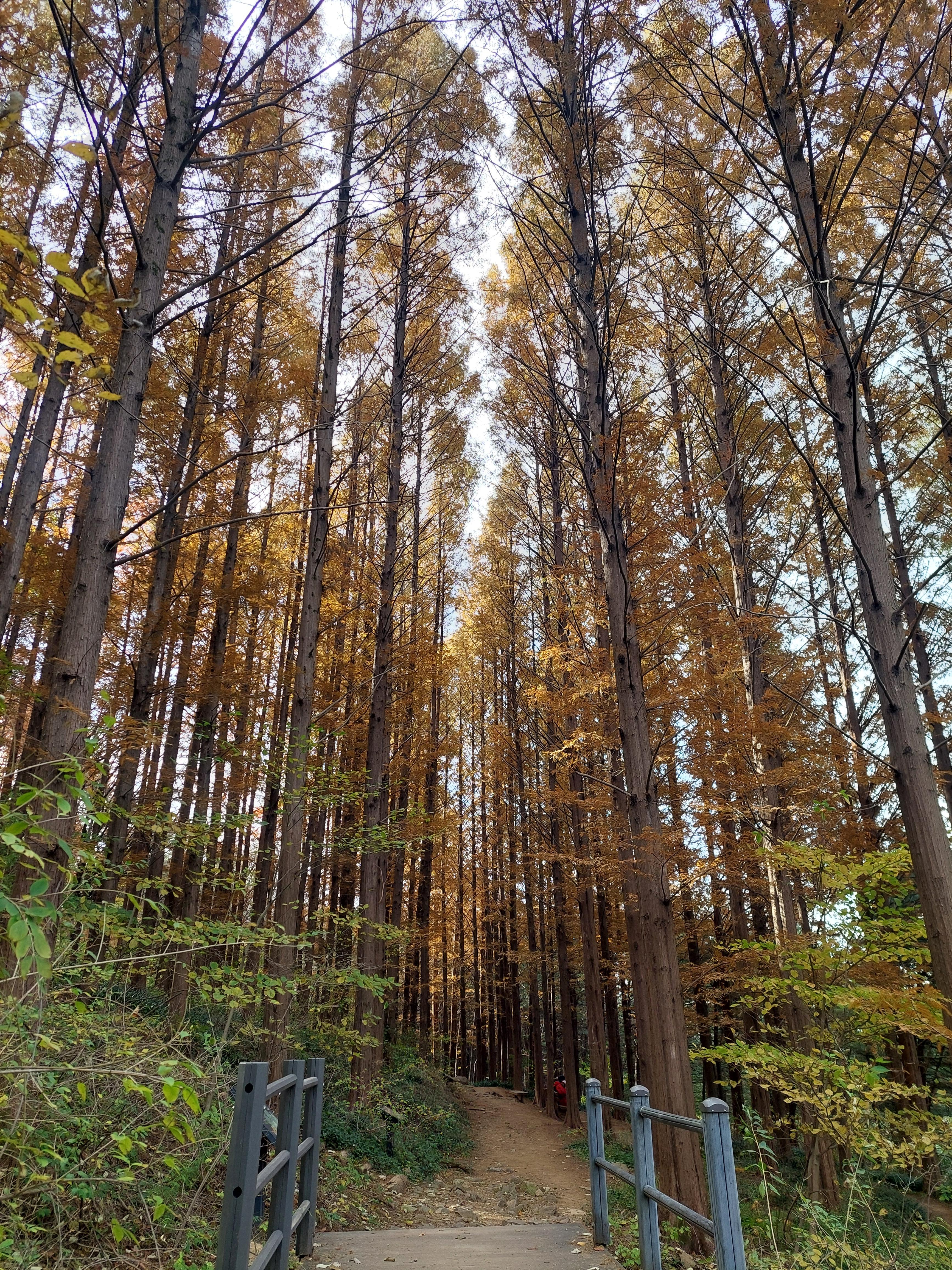 안산