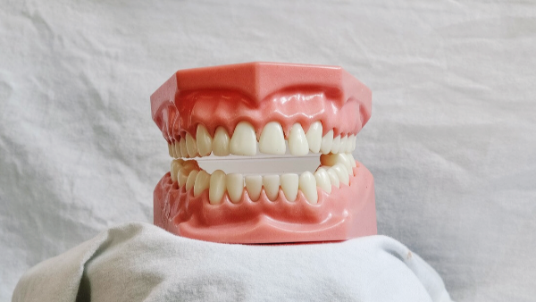 이가탄 가격 성분 효능 사진 11