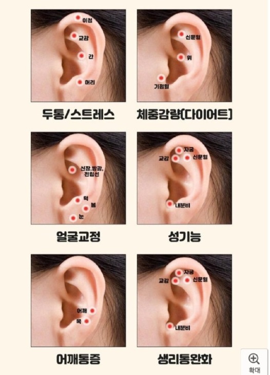 유용한 귀 혈자리