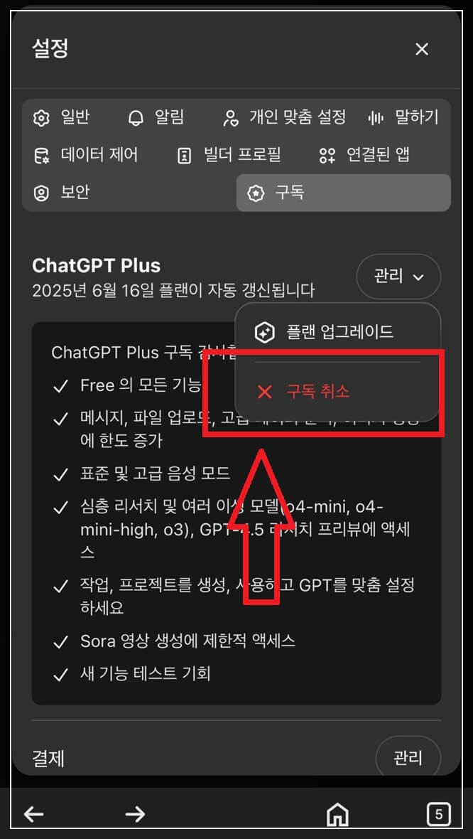 챗GPT 구독취소