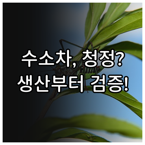 수소연료전지차의 궁극적 청정성: 생산..