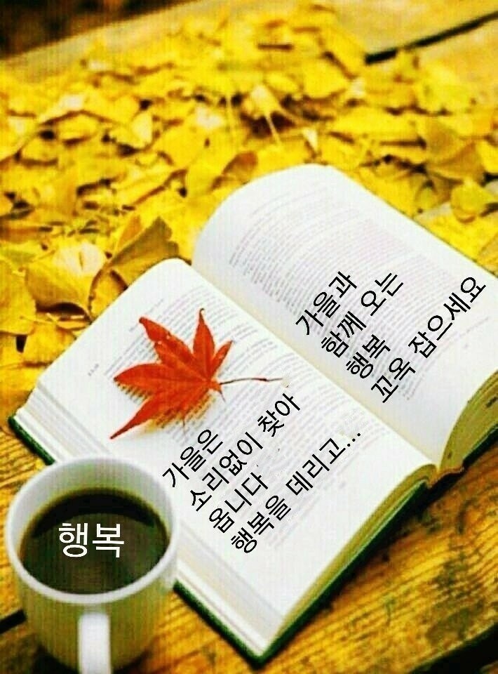 가을은 소리없이 찾아옵니다